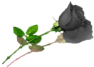 sticker_22526562_33621600