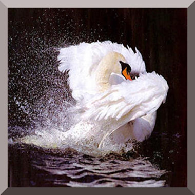 sticker_6060865_14956257