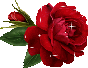 sticker_5374133_23291512