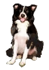 sticker_21626243_29701217