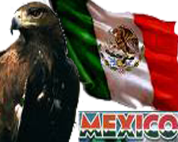 sticker_20500955_38595418