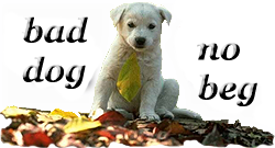 sticker_17099730_23270701