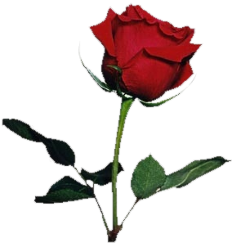 sticker_1328064_35994221