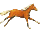 sticker_15535515_32424882