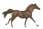 sticker_15561384_36844774