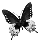 sticker_11819720_16687830