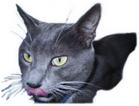 sticker_235790_641314