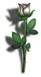 sticker_11914440_47590640