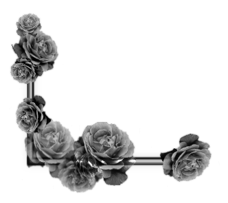 sticker_4524444_10139522