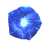 sticker_14158913_21471390