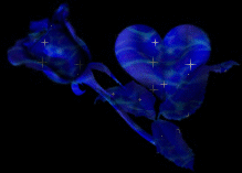 sticker_6059222_8013412