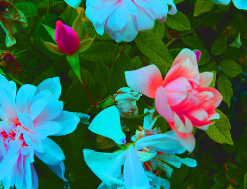 sticker_18991490_25071196