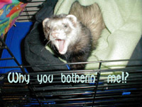 sticker_2175267_27726734