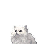 sticker_19133536_42049505