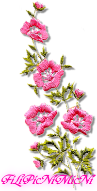 sticker_20660872_34976887