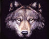 sticker_20004153_28317594