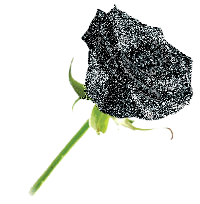 sticker_12299202_36026193