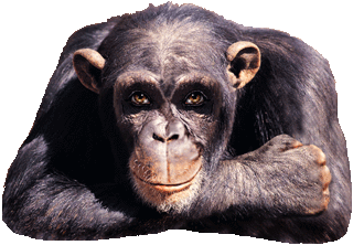 sticker_9239633_21904759