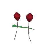 sticker_18404274_39952877
