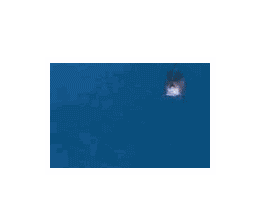sticker_6240015_32844403