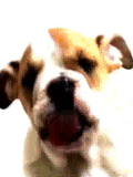 sticker_21155843_28579934