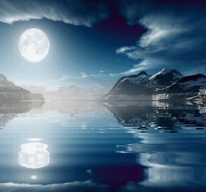 sticker_22363158_33016893