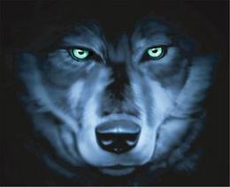 sticker_11588557_16254517