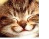 sticker_17823662_34890611
