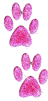 sticker_27129620_45657038