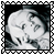 sticker_5157408_36692346
