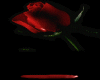 sticker_26462658_38318244
