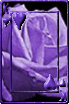 sticker_6195420_40327922