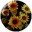 sticker_5581779_30783701