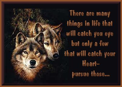 sticker_17655176_23633041