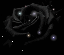 sticker_30998533_42215132
