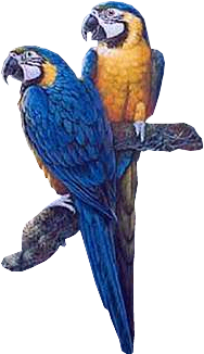 sticker_6093655_24947222