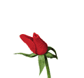 sticker_23392161_37233566