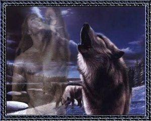 sticker_1445224_2235568