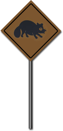 sticker_17456768_39141311
