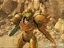 sticker_5955202_7533551