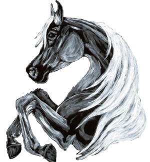 sticker_17044737_25286116