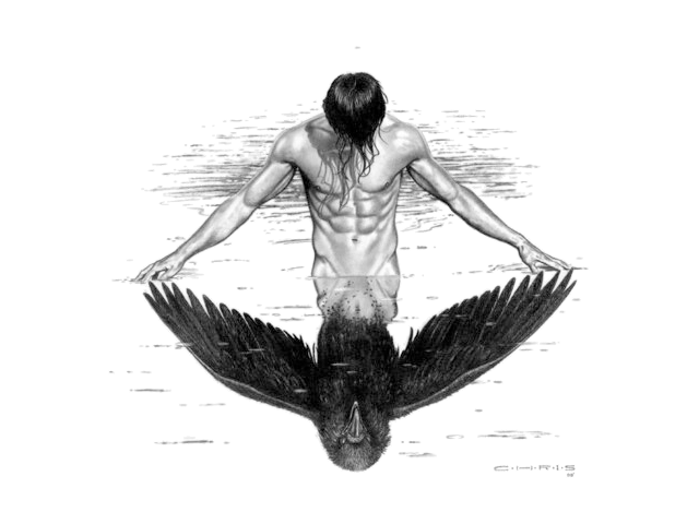 sticker_22732372_38387002
