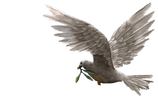 sticker_18187519_30704375