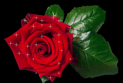 sticker_14532401_23882964