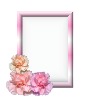 sticker_2125402_17215348