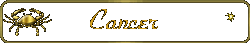 sticker_24044969_34497275