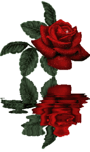 sticker_20059574_35349245