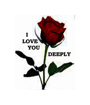sticker_17942595_29411608