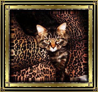 sticker_2051975_23537644