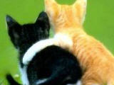 sticker_30221826_41062879